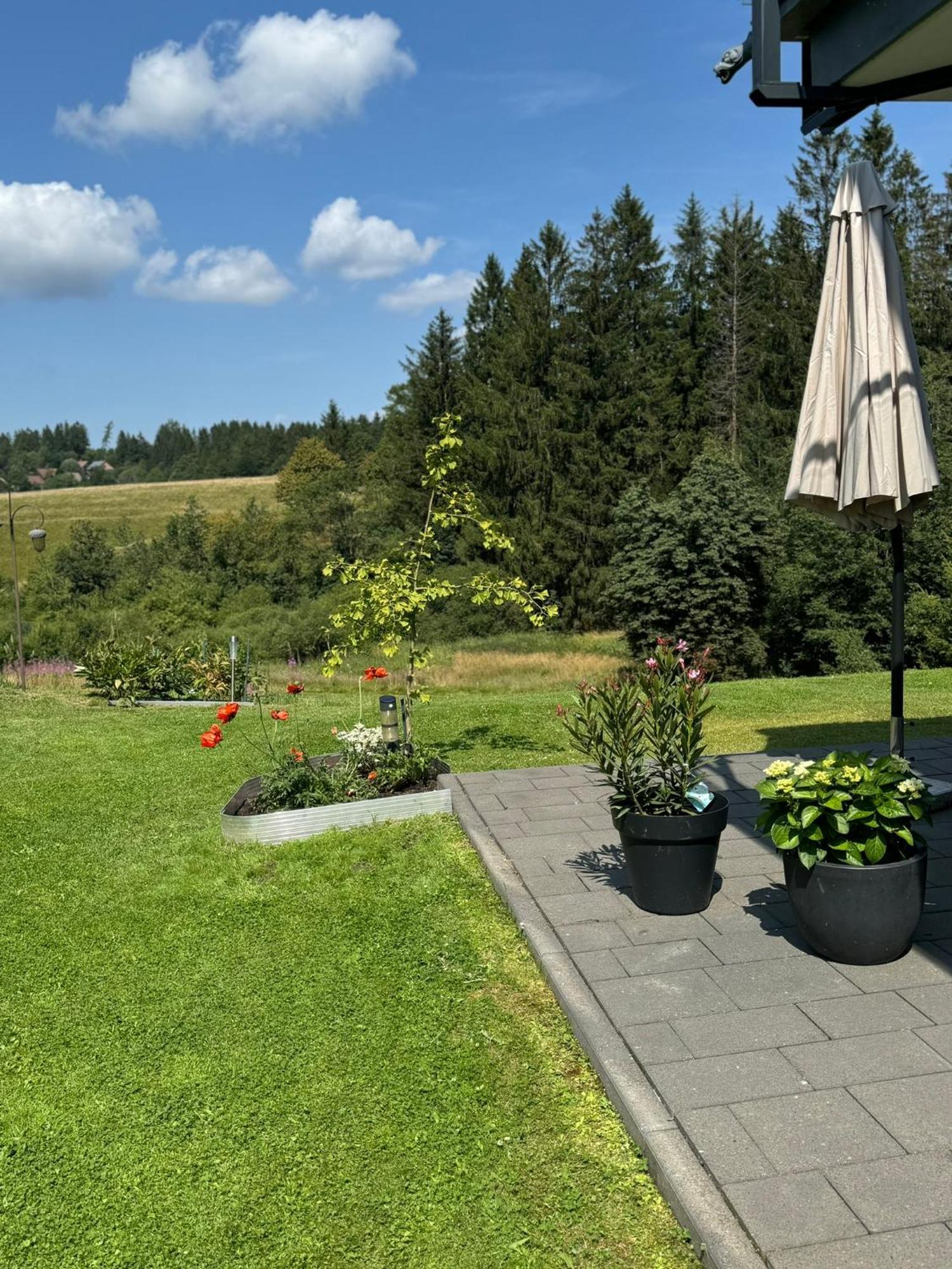 Appartement Max Clausthal-Zellerfeld Exterior photo